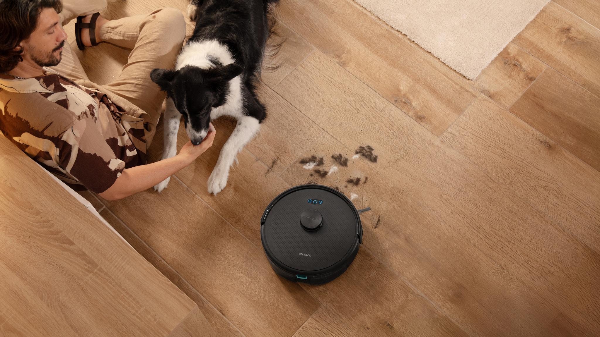Hogares con mascotas, estáis de suerte