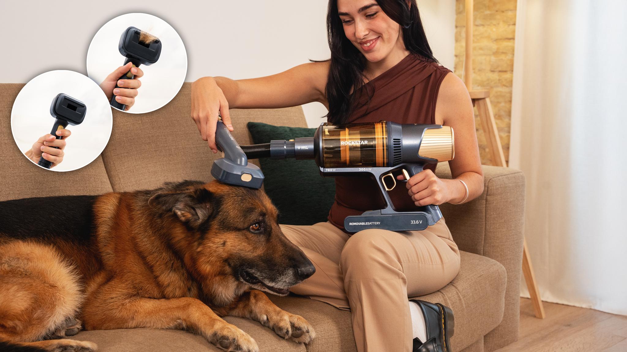 Cepilla a tu mascota, protege tu suelo