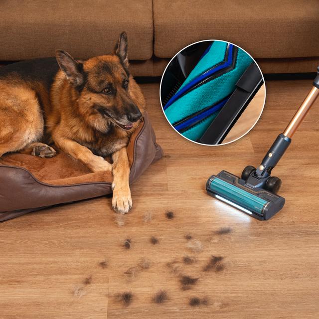 Conga Rockstar RX70 AquaPet Flex Zero aspirador escoba sin cables sin bolsa con máxima potencia de succión de 300 AW y ultrapotencia de 780 W. 100 minutos de autonomía. Cepillo HairLess antienredos. Tubo flexible y kit de accesorios completo. Incluye cepillo para animales y accesorio de fregado.