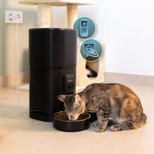 Pumba 8600 Double Meal Vision Distributeur automatique de nourriture pour animaux de compagnie avec deux bols, contrôle via Wi-Fi, caméra, enregistreur vocal, capacité de 7 litres et contrôle des portions.