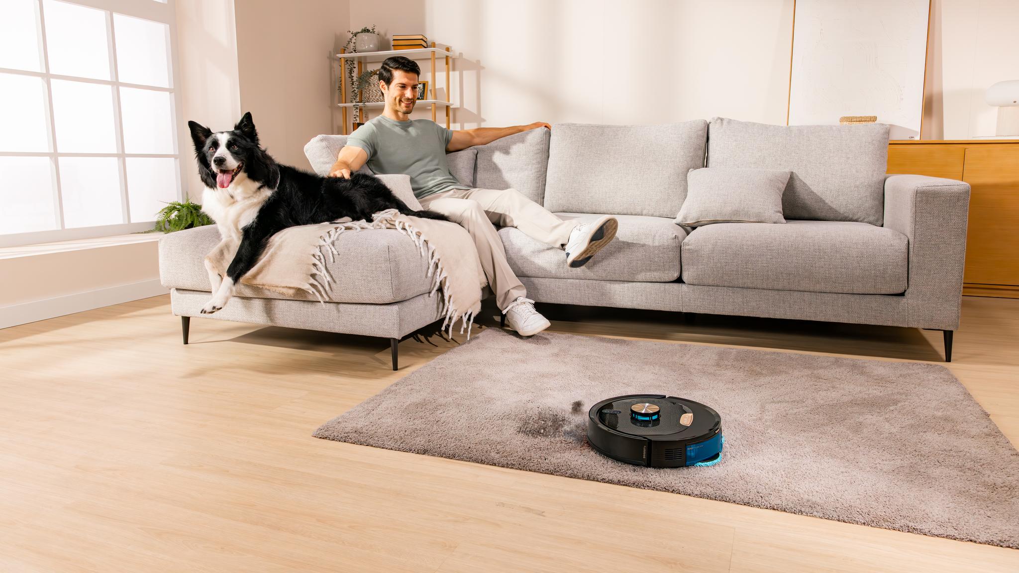 Hogares con mascotas, estáis de suerte