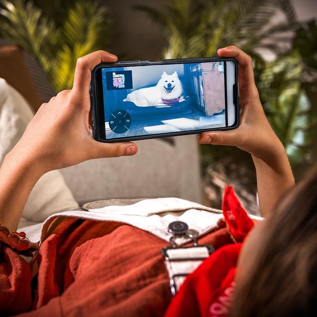 Conga X100 X-Treme Robot aspirateur avec système de nettoyage adaptatif. Puissance d'aspiration de 20000 Pa, base 4 en 1 avec désinfection. Intelligence artificielle avec caméra. Tissus rotatifs et soulevables. Brosse latérale et tissu extensible. Application avec vidéo manager.