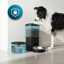 Pumba 2000 TotalMenu Vision Pack comedero de 4,5L y bebedero de 2,5L para mascotas, automáticos, con APP, cámara integrada, cuenco acero, nivel de agua visible y sistema de bloqueo.