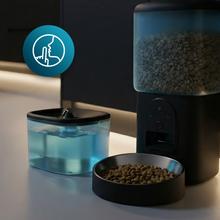 Pumba 2000 TotalMenu Vision Pack comedero de 4,5L y bebedero de 2,5L para mascotas, automáticos, con APP, cámara integrada, cuenco acero, nivel de agua visible y sistema de bloqueo.