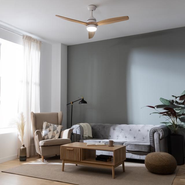 EnergySilence LampAero 600 Green Design Ventilateur de plafond Cecotec