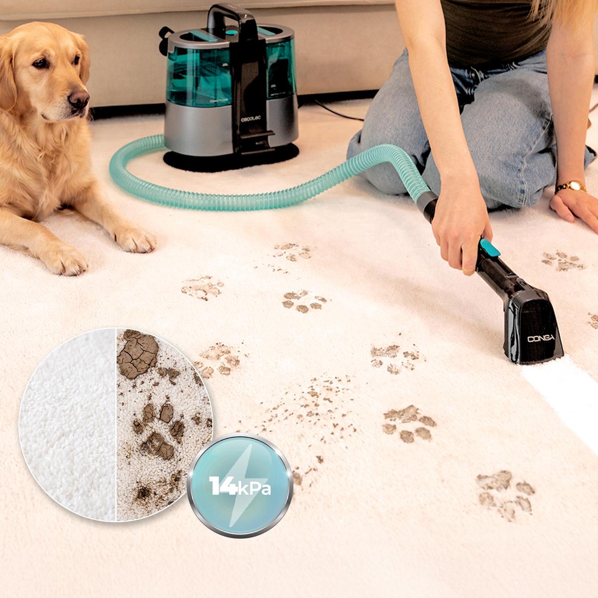 Conga 6000 Carpet&Spot Clean XL