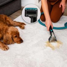 Conga 7000 Carpet&Spot Clean Steam XXL Pro Limpiatapicerías con 1700 W de potencia. Uso de vapor para desincrustar mejor la suciedad. Depósito de agua limpia de 1600 ml y de agua sucia de 950 ml. Radio de acción de 9 metros. 15 accesorios.