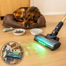 Conga Rockstar RS80 Pet Flex Detect Aspirador vertical con 600 W de potencia y 200 AW de potencia de succión. Cepillo antienredos Hairless. Autonomía de hasta 65 minutos en modo Eco y aspirador de mano. Cepillo de mascotas. Tubo flexible.