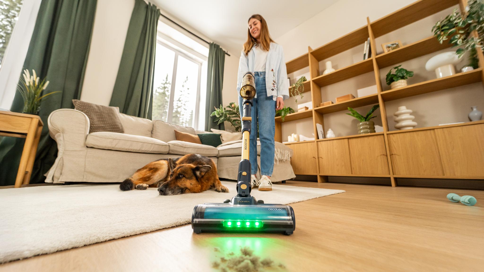 Limpieza rápida sin enredos