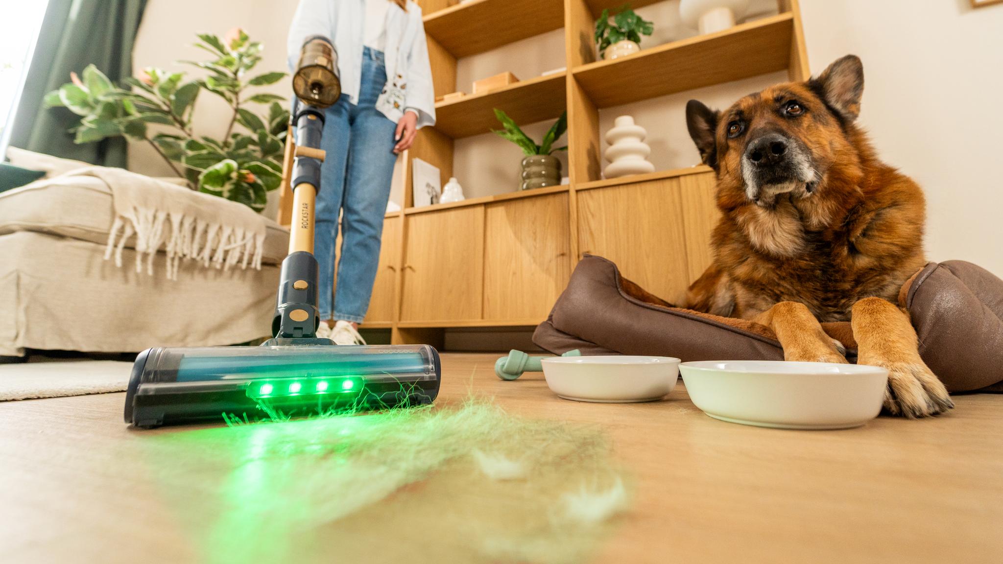 Saca a la luz la suciedad