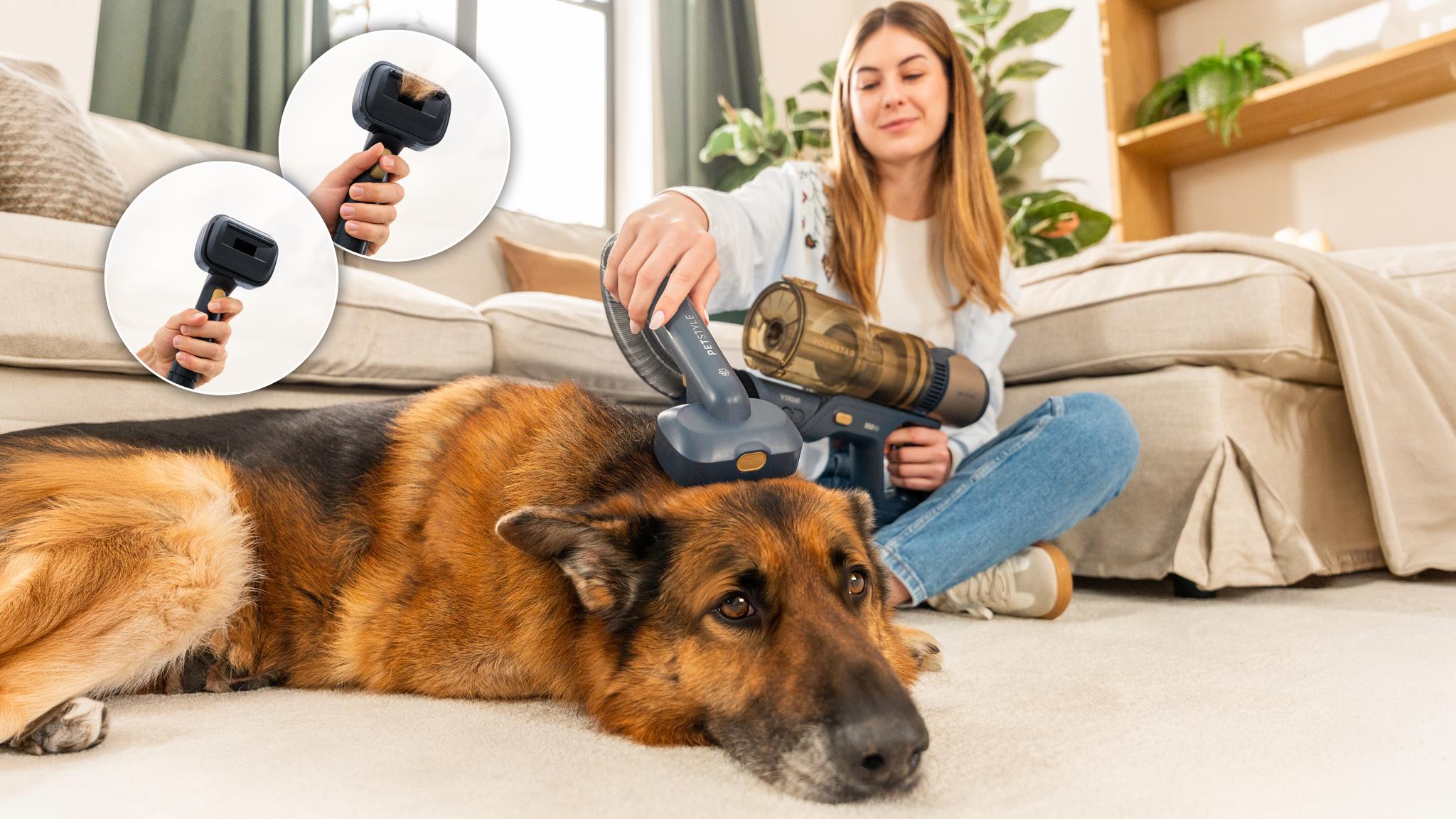 Cuida a tu mascota y protege tu suelo