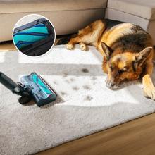 Conga Rockstar RS90 Pet Flex Detect Aspirador escoba sin cable con 650 W de potencia y 230 AW de potencia de succión. 30 kPa. Cepillo antienredos Hairless XXL. Autonomía de hasta 90 minutos en modo Eco y aspirador de mano. Luz LED verde. Tubo flexible. Cepillo para animales.