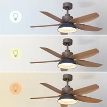 EnergySilence Aero 5460 Daisy Ventilador de techo de 24W con motor DC y 46” con luz LED, 5 aspas, mando a distancia, temporizador y 6 velocidades.