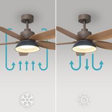 EnergySilence Aero 5460 Daisy Ventilador de techo de 24W con motor DC y 46” con luz LED, 5 aspas, mando a distancia, temporizador y 6 velocidades.