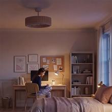 EnergySilence LampAero 324 Camellia Ventoinha de teto com luz, com motor DC de 15 W, luz LED regulável, comando à distância, temporizador e 6 velocidades.