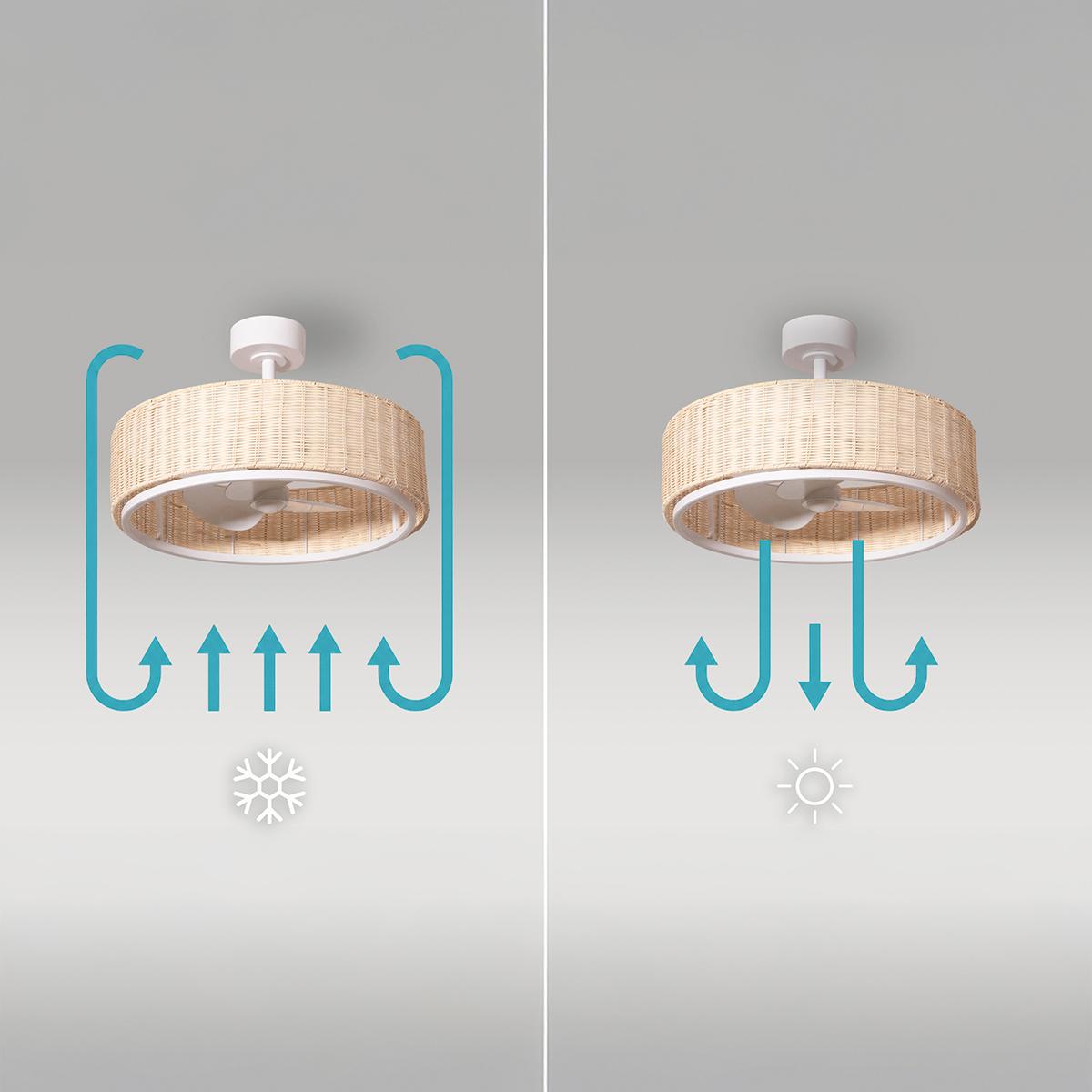 EnergySilence LampAero 324 Camellia