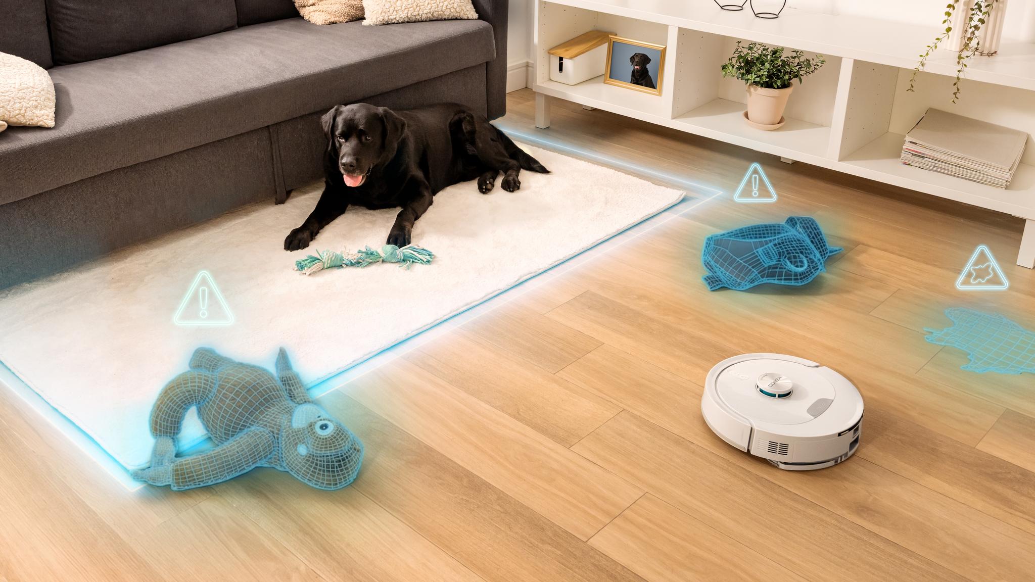 Limpia entre el desorden