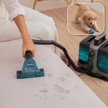 Conga Carpet&Spot Clean 7500 Pro. Limpiatapicerías con 750 W de potencia y succión de hasta 17 kPa. Dispone de depósitos de 1600 ml (agua limpia) y 750 ml (agua sucia), diseño compacto y kit de 4 accesorios