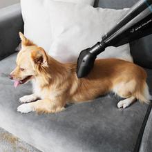 Conga Immortal 22,2 Animal Hand X-Treme Aspirador de mano con batería de Ion-Litio 22,2 V. Para sólidos y líquidos. Con accesorio para pelos de animales.