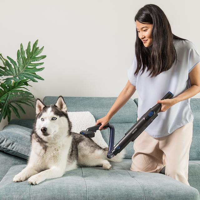 Rockstar Micro+ Animal X-Treme Conga