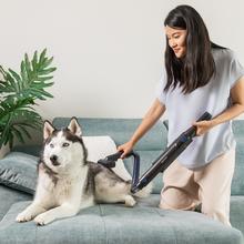 Rockstar Micro+ Animal X-Treme Conga