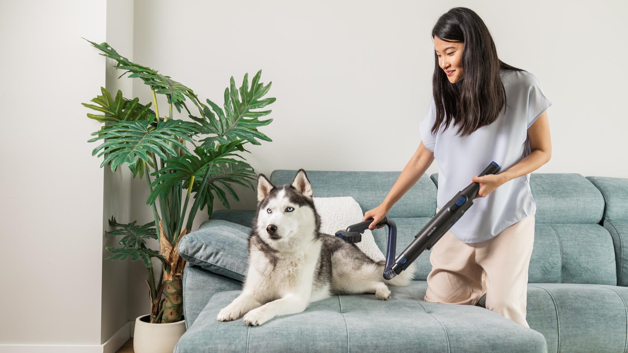 Cuida a tu mascota y protege tu suelo