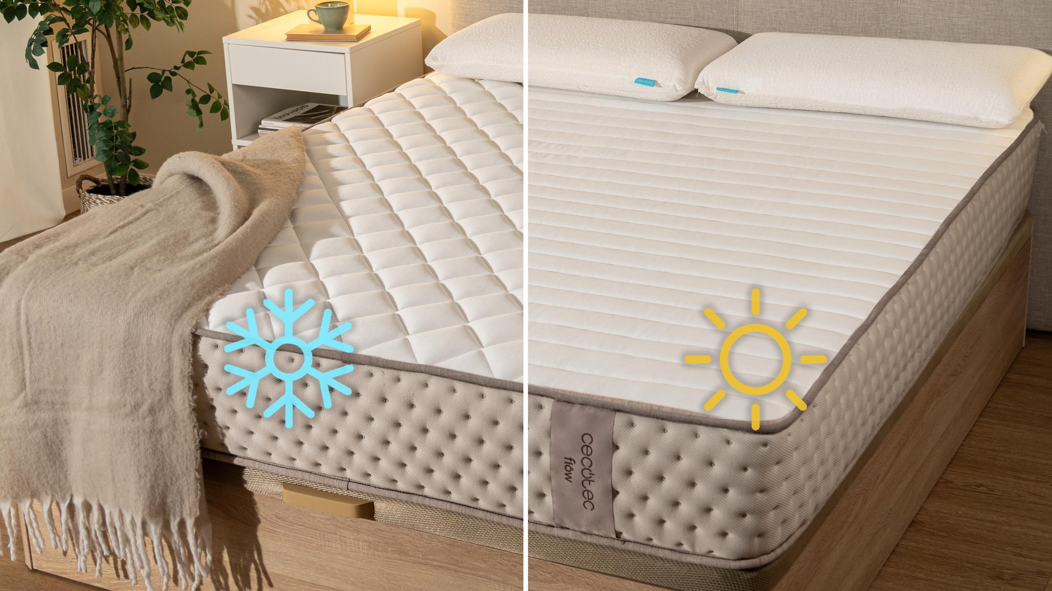 Frescor en verano, menos humedad en inverno